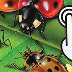 Fargerike insekter på grønne blader med en ikonisk håndpeker